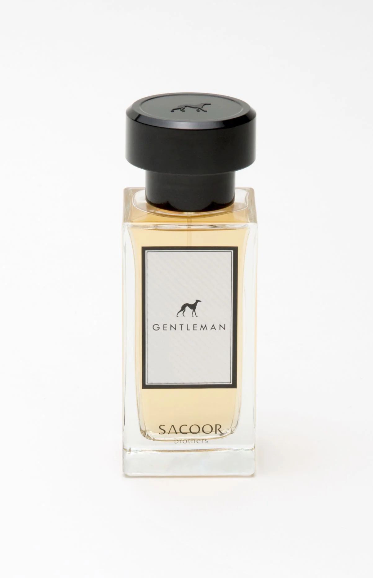 Men's Perfume