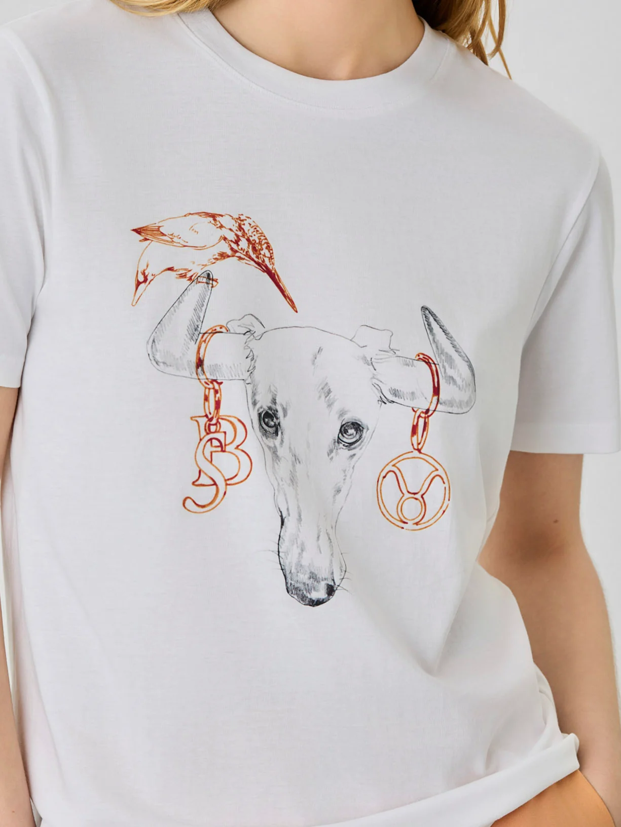 Regular Fit T-shirt In Organic Cotton With Taurus Sign - Image 3