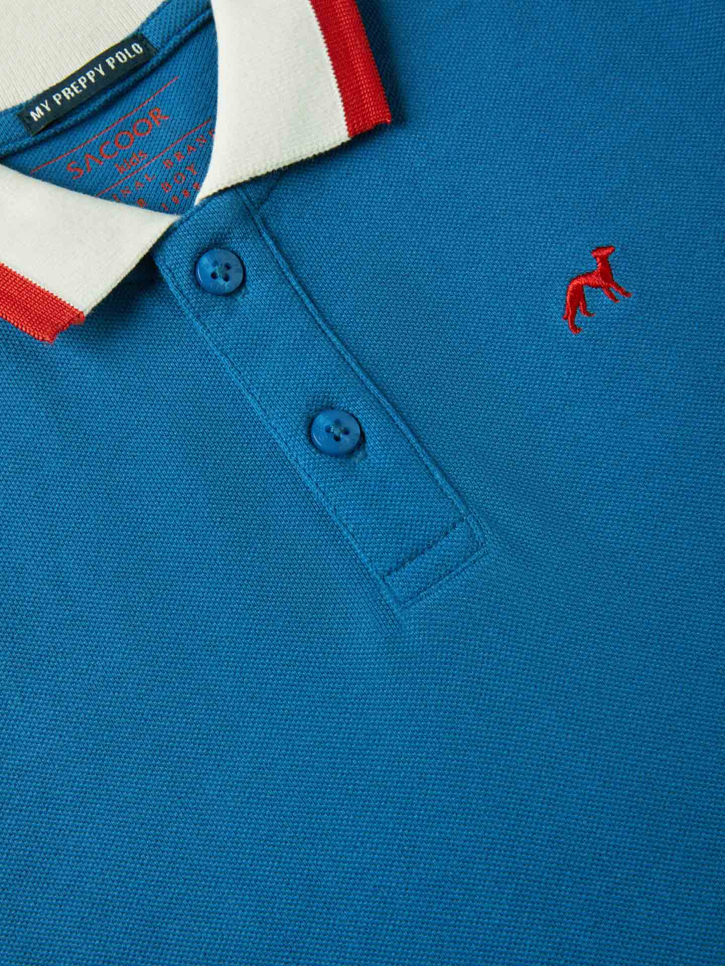 Sacoor Polo Shirt With Contrast Ribs - Image 15