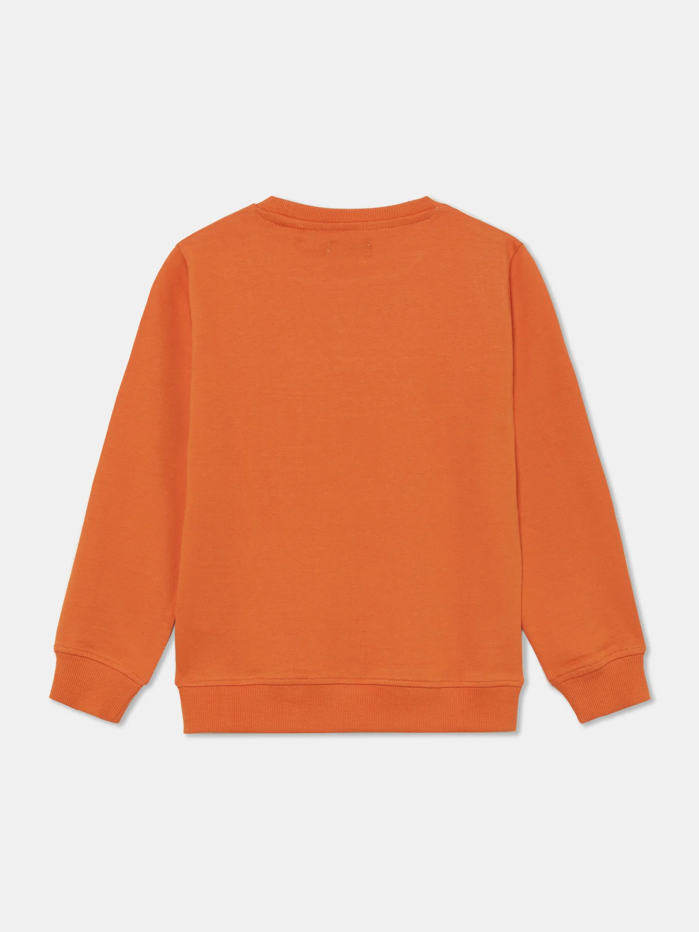 Sacoor Skate Club Sweatshirt - Image 2