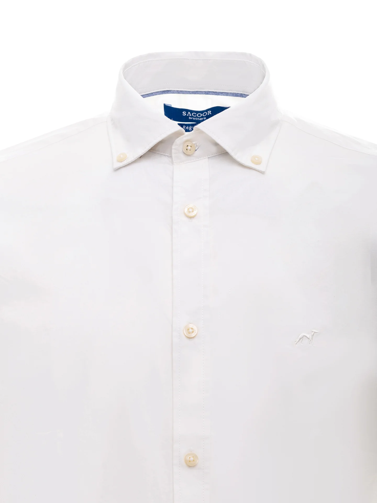 Shirt Casual Man Sport (Regular) - Image 4