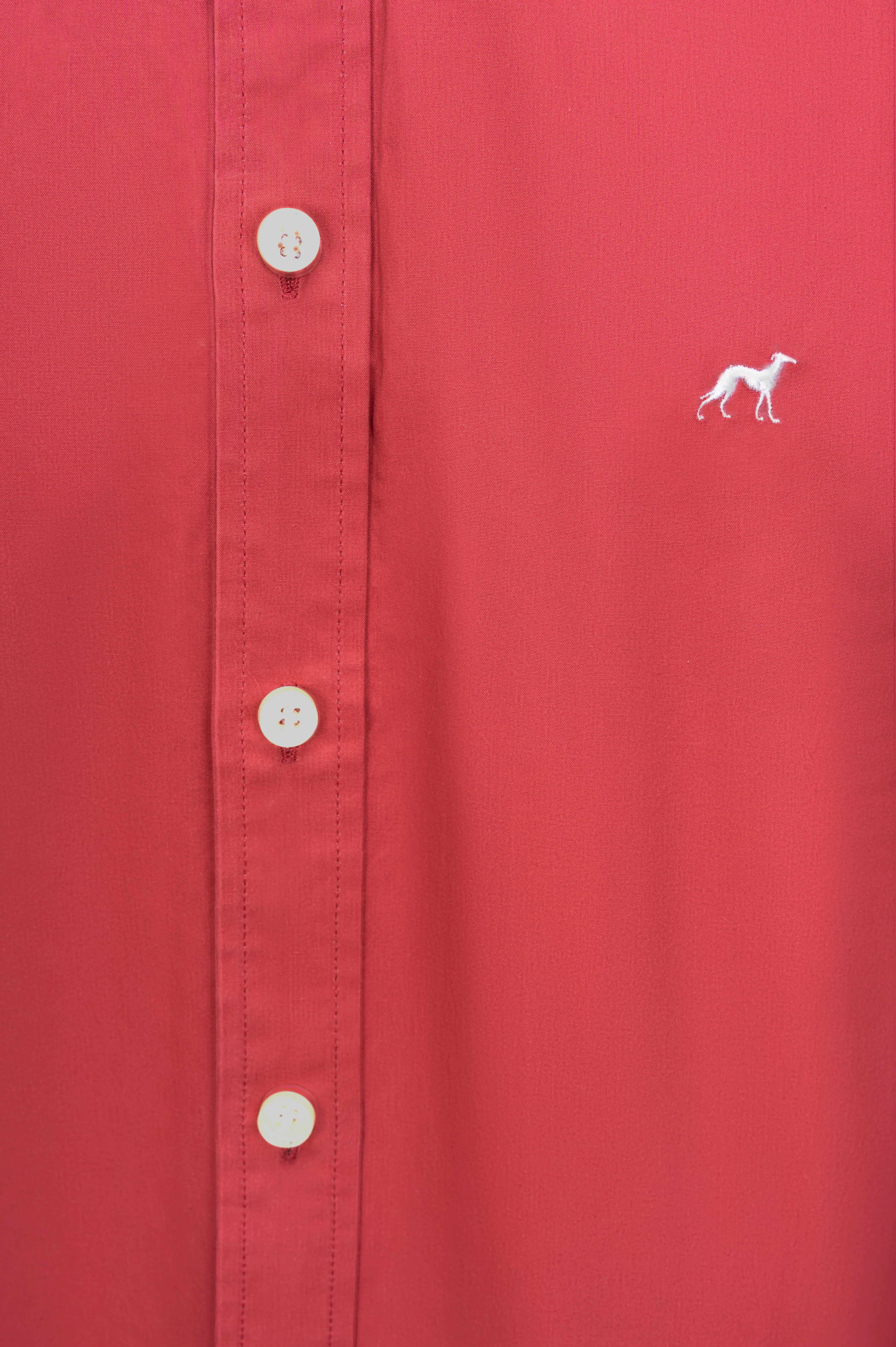 Slim fit sport poplin garment dye shirt - Image 15